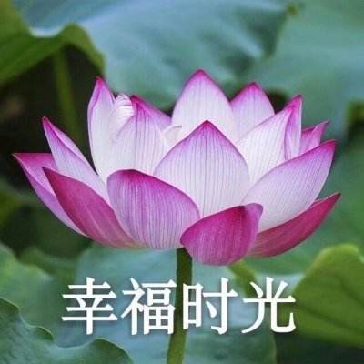 边缘逐梦游戏下载